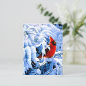 Rode kardinaal in de wintersneeuw briefkaart (Staand voorkant)