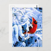 Rode kardinaal in de wintersneeuw briefkaart (Voorkant / Achterkant)