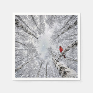Rode Kardinaal In Een Witte Berkenbos In De Winter Servet