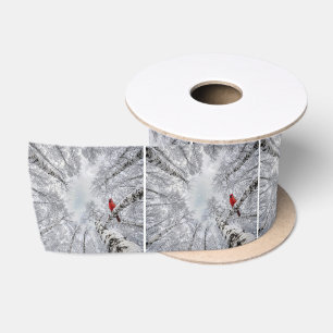 Rode Kardinaal In een Witte Winter Berkebos Satijnen Lint