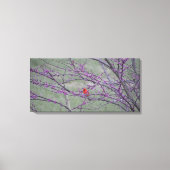 Rode Kardinaal in Oostelijke Rode Bud Boom Canvas Afdruk (Voorkant)