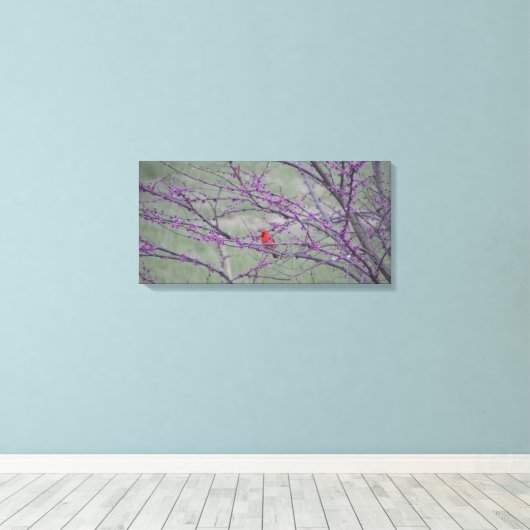 Rode Kardinaal in Oostelijke Rode Bud Boom Canvas Afdruk (Insitu (Houten vloer))
