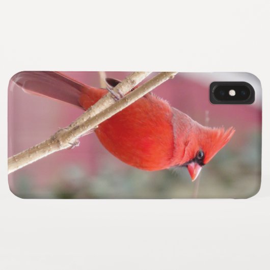 Rode Kardinaal iPhone Case (Achterkant (horizontaal))