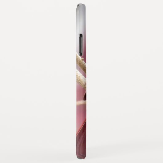 Rode Kardinaal iPhone Case (Achterkant/rechts)