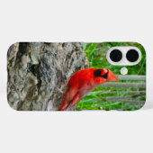 Rode Kardinaal iPhone Case (Achterkant (horizontaal))