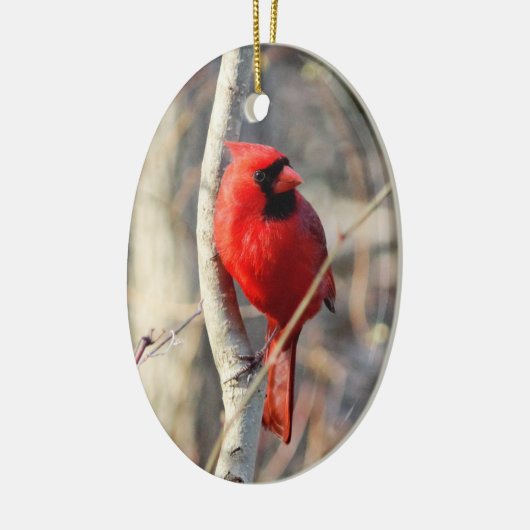 Rode kardinaal keramisch ornament (Links)