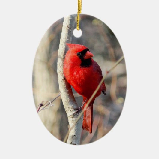 Rode kardinaal keramisch ornament (Voorkant)