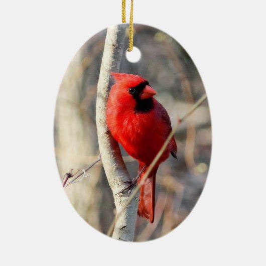 Rode kardinaal keramisch ornament (Achterkant)