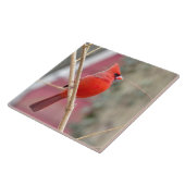 Rode Kardinaal Keramische Tegel Tegeltje (Zijkant)