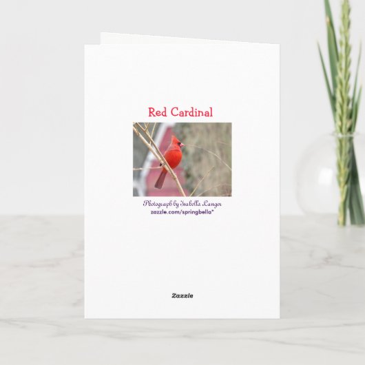 Rode Kardinaal Lege Wenskaart Kaart (Achterkant)