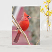 Rode Kardinaal Lege Wenskaart Kaart (Gele Bloem)