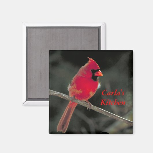 Rode Kardinaal Magneet (Voorkant / Achterkant)