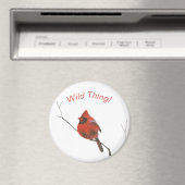 Rode kardinaal magneet (Insitu (Vaatwasser))