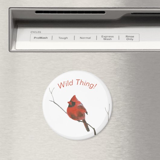 Rode kardinaal magneet (Insitu (Vaatwasser))