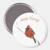 Rode kardinaal magneet (Voorkant / Achterkant)