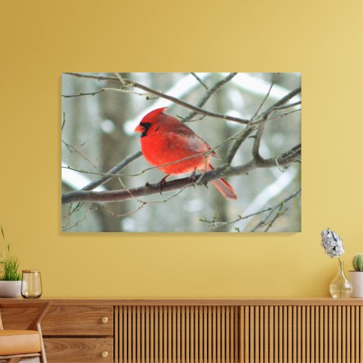 Rode kardinaal (mannelijk) wintergestoord Canvas a (Insitu (Woonkamer))