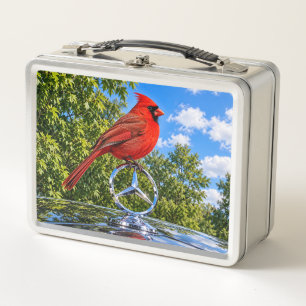 Rode Kardinaal Natuur Pauzetijd Lunchbox