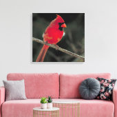 Rode kardinaal op een boomtak canvas afdruk (Insitu (Woonkamer))