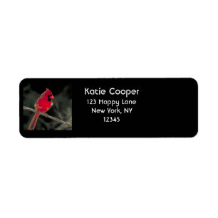 Rode kardinaal op een boomtak etiket