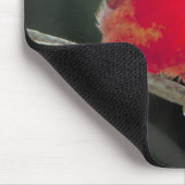 Rode kardinaal op een boomtak muismat (Hoek)