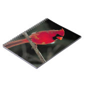 Rode kardinaal op een boomtak notitieboek (Linkerzijde)