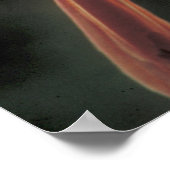 Rode kardinaal op een boomtak poster (Hoek)