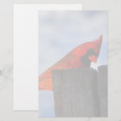 Rode kardinaal op houten stump briefpapier (Voorkant / Achterkant)