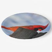 Rode kardinaal op houten stump papieren bordje (Gekanteld)