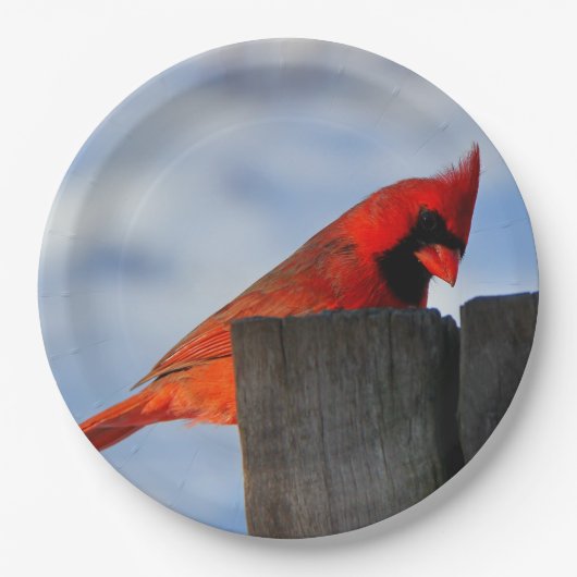 Rode kardinaal op houten stump papieren bordje (Voorkant)