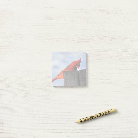 Rode kardinaal op houten stump post-it® notes (Op bureau)