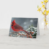 Rode kardinaal op ijzige tak van hulst kaart (Gele Bloem)