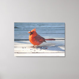 Rode kardinaal op Wooden Bridge Canvas Afdruk