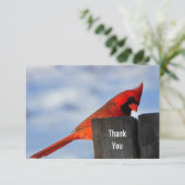 Rode kardinaal op Wooden Stump Dank je Bedankkaart (Staand voorkant)