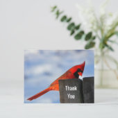 Rode kardinaal op Wooden Stump Dank je Briefkaart (Staand voorkant)