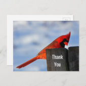 Rode kardinaal op Wooden Stump Dank je Briefkaart (Voorkant / Achterkant)