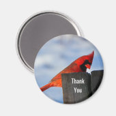 Rode kardinaal op Wooden Stump Dank je Magneet (Voorkant / Achterkant)