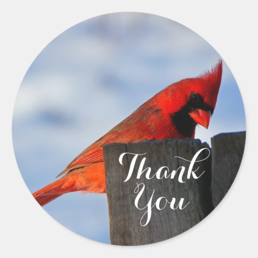 Rode kardinaal op Wooden Stump Dank je Ronde Sticker (Voorkant)