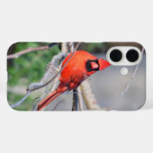 Rode kardinaal portret Case-Mate iPhone case (Achterkant (horizontaal))