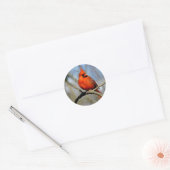 Rode kardinaal portret ronde sticker (Envelop)