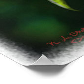 Rode kardinaal poster (Hoek)