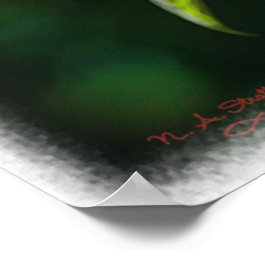 Rode kardinaal poster (Hoek)