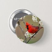 Rode kardinaal ronde button 5,7 cm (Voorkant /achterkant)