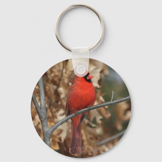 Rode kardinaal sleutelhanger (Voorkant)