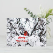  Rode Kardinaal Sneeuwfoto Kerstflat Feestdagenkaart (Staand voorkant)