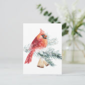 Rode kardinaal Snowy Blue Spruce Branch Winter Sce Briefkaart (Staand voorkant)