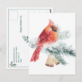Rode kardinaal Snowy Blue Spruce Branch Winter Sce Briefkaart (Voorkant / Achterkant)