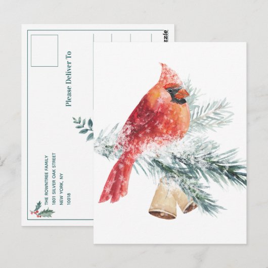 Rode kardinaal Snowy Blue Spruce Branch Winter Sce Briefkaart (Voorkant / Achterkant)