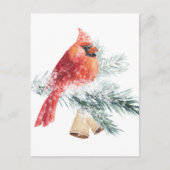Rode kardinaal Snowy Blue Spruce Branch Winter Sce Briefkaart (Voorkant)