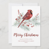 Rode kardinaal Snowy Pine Branch Kerstmis Feestdagenkaart (Voorkant)