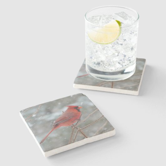 Rode kardinaal stenen onderzetter (Zijkant)